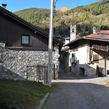Caratteristici 
