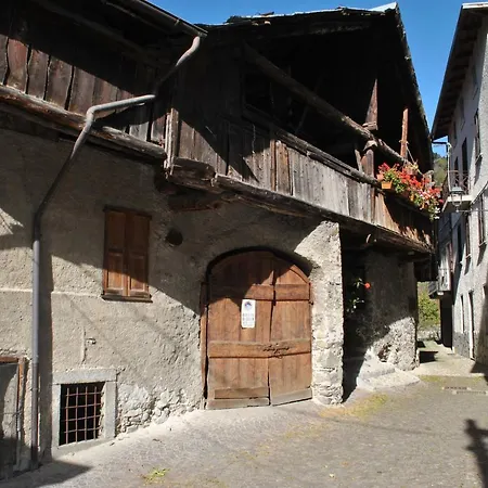 Caratteristici 