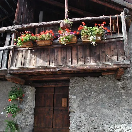 Apartment Caratteristici 