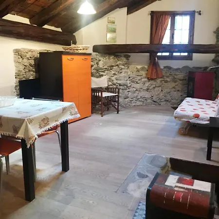 Caratteristici 