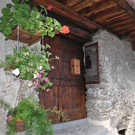 Caratteristici 