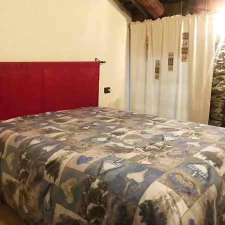 Caratteristici 